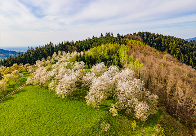 Bienenhof am Eckenfels