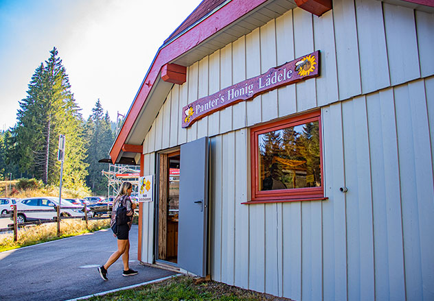 Nationalpark Schwarzwald Ruhestein